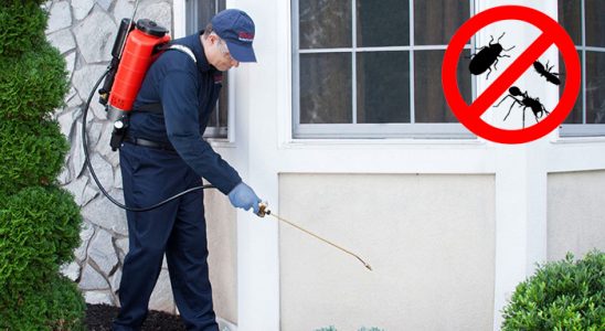 Of Gümüşkurt İlaçlama böcek ilaçlama ve haşere kontrolü — ilaclama-tr.com